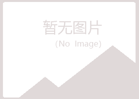 石台县冰夏咨询有限公司